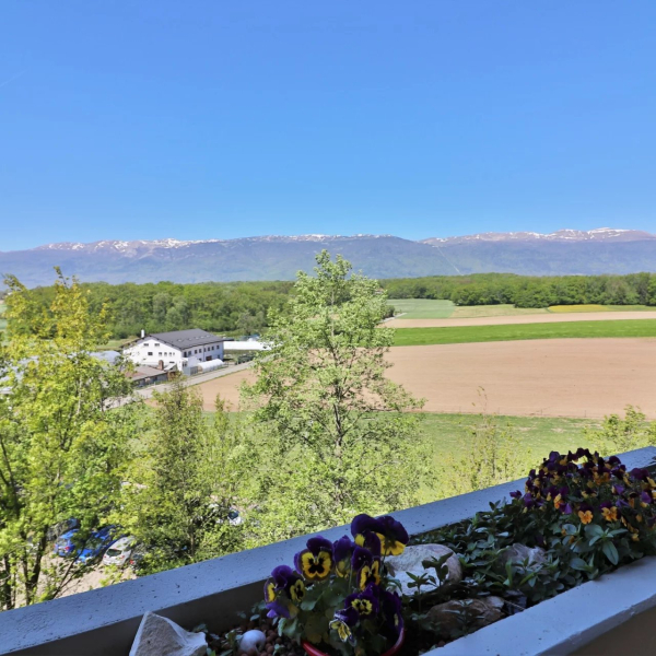 Appartement à vendre - Meyrin