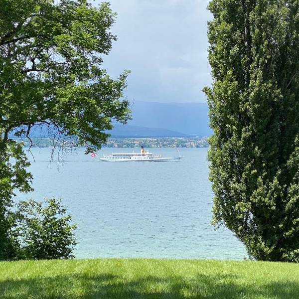 Land for sale - Anières